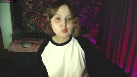 meow online show from 10, 7, 2026