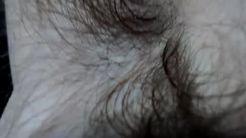 Snapshot of branflakes_ chatting on 21, 2, 2025 branflakes_ online show from 21, 2, 2025