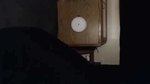 Snapshot of branflakes_ chatting on 13, 9, 2025 branflakes_ online show from 13, 9, 2025