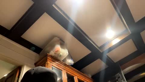 Snapshot of bravo323 chatting on 2, 10, 2025 bravo323 online show from 2, 10, 2025