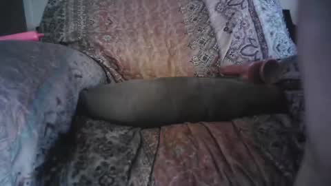 Snapshot of bri20fu chatting on 29, 4, 2026 raining down on me online show from 29, 4, 2026