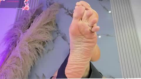    online show from 27, 2, 2026