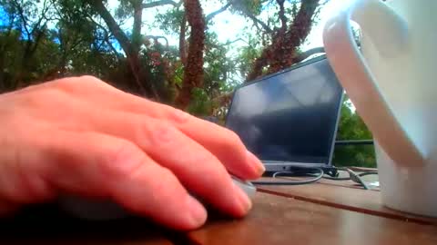 Fun Monster online show from 19, 2, 2026