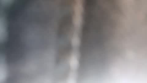 Brittany  online show from 26, 10, 2025