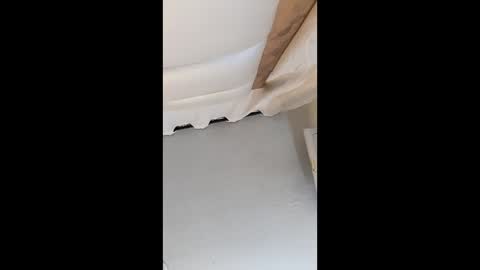 Brittany  online show from 22, 2, 2026