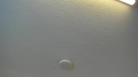 Brittany  online show from 19, 4, 2026