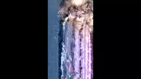 Chocolate Princess  online show from 16, 3, 2026