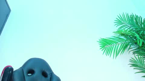 BRIYIT     online show from 1, 2, 2025