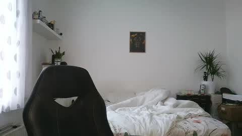 Bruce online show from 29, 4, 2026