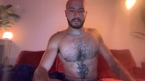 brunosarse online show from 14, 6, 2026