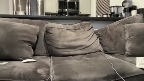 brwm2013 online show from 12, 1, 2025