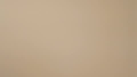 Snapshot of bssexperience chatting on 12, 3, 2025 HazelEyedStud1999 online show from 12, 3, 2025