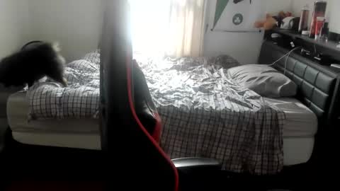 Snapshot of buffsexyman24 chatting on 6, 3, 2025 buffsexyman24 online show from 6, 3, 2025