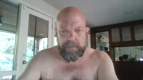 bulldog302w online show from 3, 7, 2026