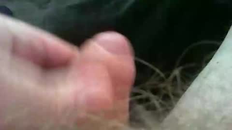 bullemoe online show from 2, 11, 2025