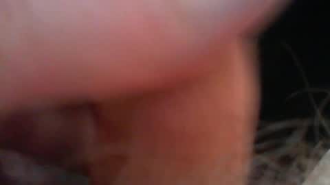 bullemoe online show from 6, 1, 2026