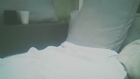 Dutch cock online show from 28, 4, 2026