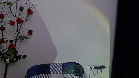 Ariel online show from 28, 4, 2026