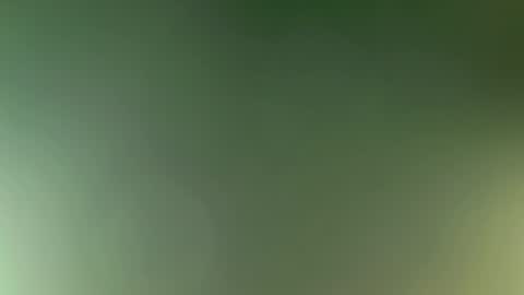 Bella online show from 8, 3, 2026