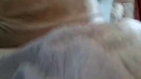 Snapshot of buster18hymen chatting on 1, 2, 2026 Buster18Hymen online show from 1, 2, 2026