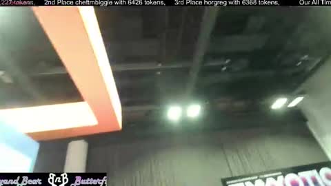 Butterfly and Bear online show from 27, 6, 2026