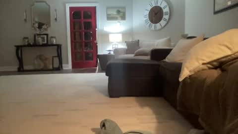 bwc2465 online show from 15, 2, 2025