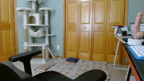 Snapshot of bxdieelatina chatting on 14, 11, 2025 bxdieelatina online show from 14, 11, 2025