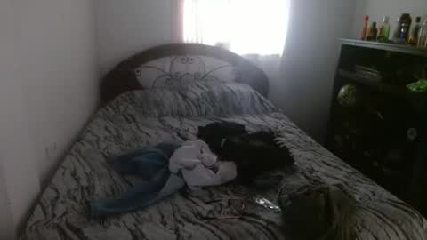 MDaniel online show from 8, 3, 2026