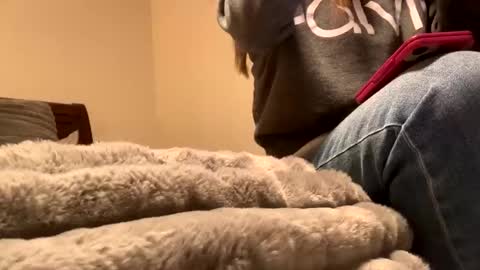 calishop1 online show from 11, 12, 2024