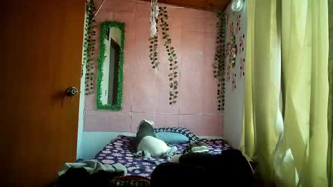 paula online show from 20, 4, 2026