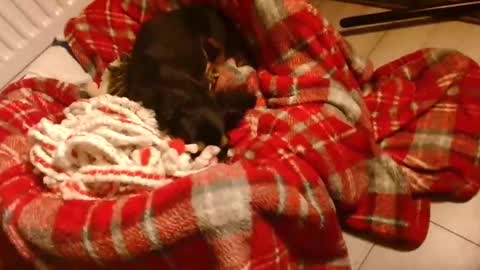 CamDoAttitude online show from 28, 1, 2025