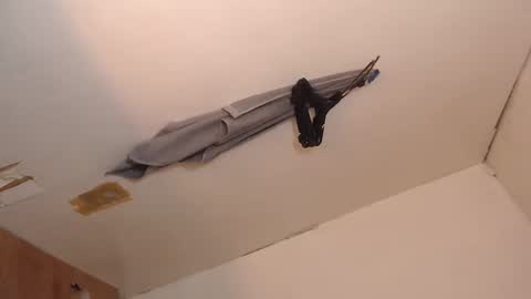 camela_star online show from 24, 4, 2026