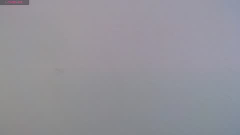 camila_torresss online show from 8, 6, 2026