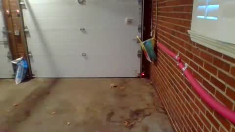 cammyman6900 online show from 9, 12, 2024