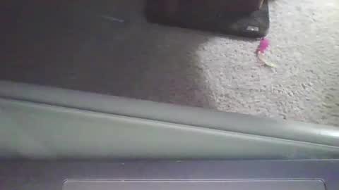 cammyman6900 online show from 11, 9, 2025