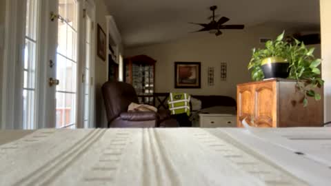 james online show from 30, 1, 2025