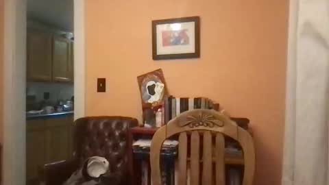 Snapshot of camunity chatting on 29, 3, 2026 camunity online show from 29, 3, 2026