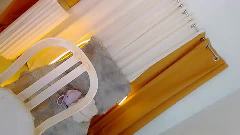 Candy online show from 23, 4, 2026