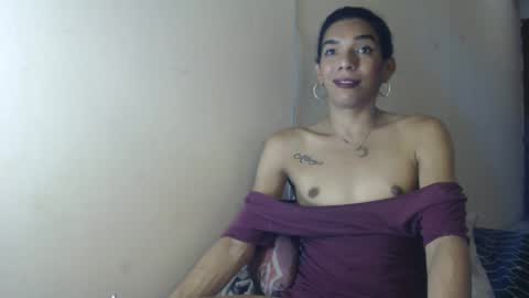 candy_hot_trans online show from 4, 2, 2025