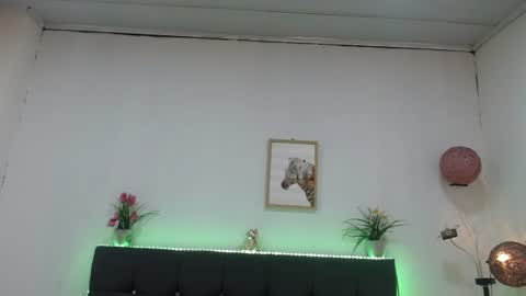 Candy online show from 19, 7, 2026