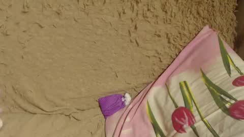 say meow and send tips  online show from 19, 12, 2024