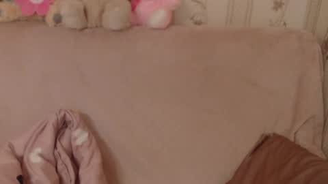 Snapshot of candylady136 chatting on 3, 6, 2026 say meow and send tip online show from 3, 6, 2026