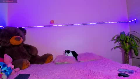 Snapshot of canndy88htx chatting on 12, 10, 2025 Onika instagram canndy888 online show from 12, 10, 2025