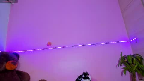 Snapshot of canndy88htx chatting on 2, 11, 2025 Onika instagram canndy888 online show from 2, 11, 2025