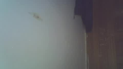 Snapshot of capt_ain chatting on 22, 6, 2026 Captain online show from 22, 6, 2026
