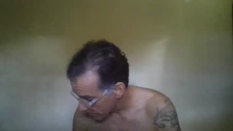 captainfox_ online show from 21, 7, 2026