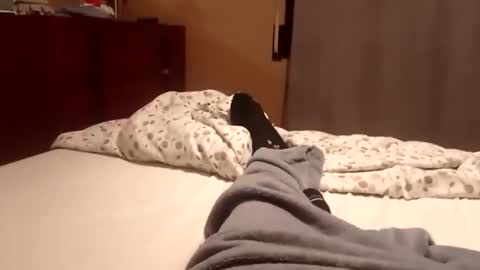 Snapshot of carlitito1 chatting on 6, 10, 2025 carlitito1 online show from 6, 10, 2025