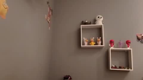 Snapshot of carlitito1 chatting on 19, 11, 2025 carlitito1 online show from 19, 11, 2025