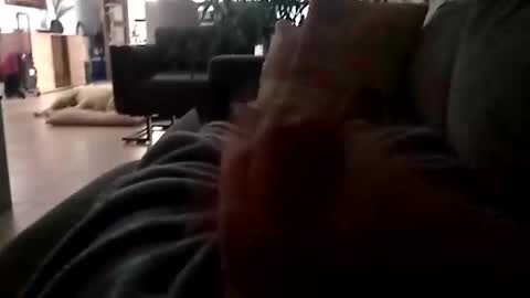 Snapshot of carlitito1 chatting on 23, 11, 2025 carlitito1 online show from 23, 11, 2025