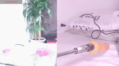 Carol online show from 17, 4, 2026